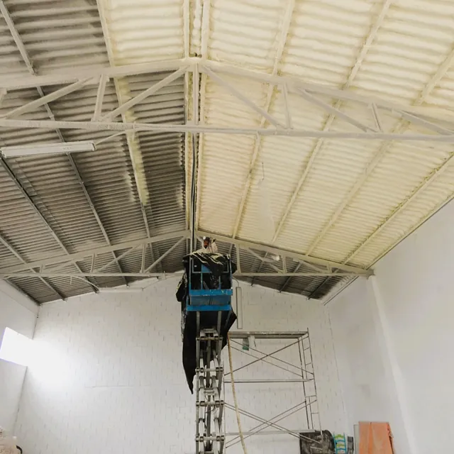 DG Construcciones y Reformas Dani ESPUMA PROYECTADA